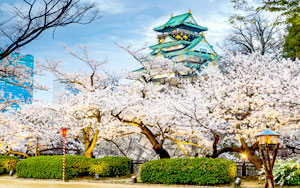 8-Day Japanese Cherry Blossom (Tokyo)