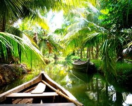 Kerala - Buy 1 Get 1 Free