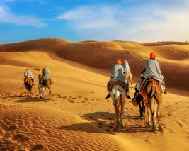 Exquisite Rajasthan