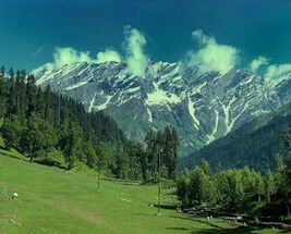Himachal - Buy 1 Get 1 Free