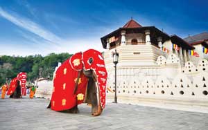 Sri Lanka - Buy 1 Get 1 Free
