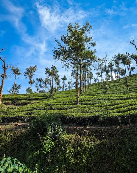 Hills of Kerala