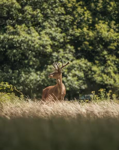 Honeymoon Special - Romantic Getaway To Kumaun