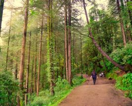 Himachal Sustainable Holidays