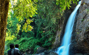 Short Break to Wayanad with Taj Hotels