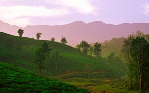 Short Break to Wayanad with Taj Hotels