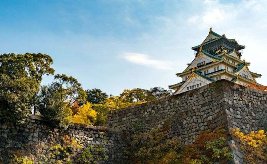 Japan Autumn Special