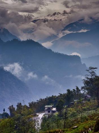 North East Delight with Pelling