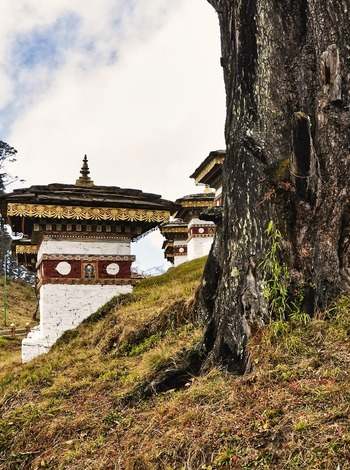 Explore Bhutan Via Bagdogra