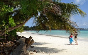 Serene Seychelles