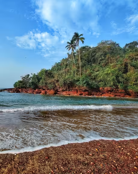 Kerala - Quick Kochi