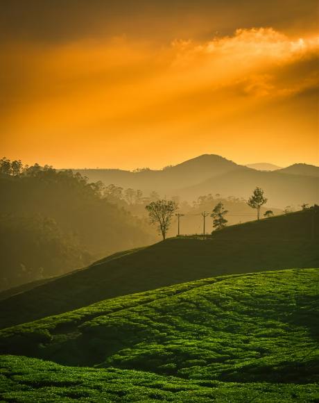 Enchanting Kerala