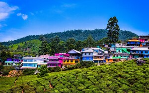 Mesmerizing Kerala