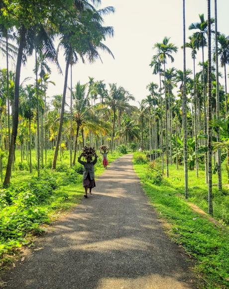 Vibrant Kerala