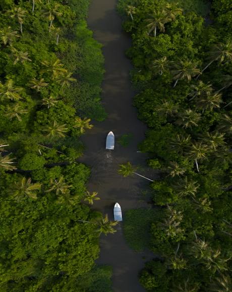 Affectionate Kerala - Honeymoon Special