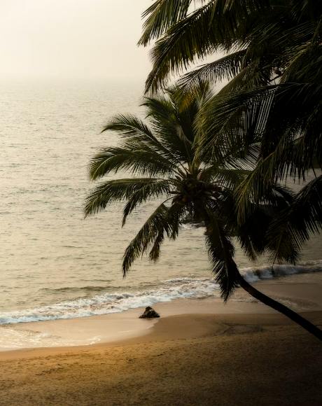 Escape to North Goa