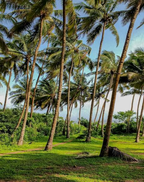 Scenic South Goa