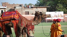 Camel Festival, Bikaner 