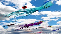 Kite Festival 