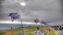 Desert Kite Festival 
