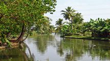 Kumarakom backwaters
