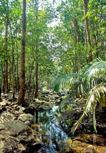 Benog Wildlife Sanctuary