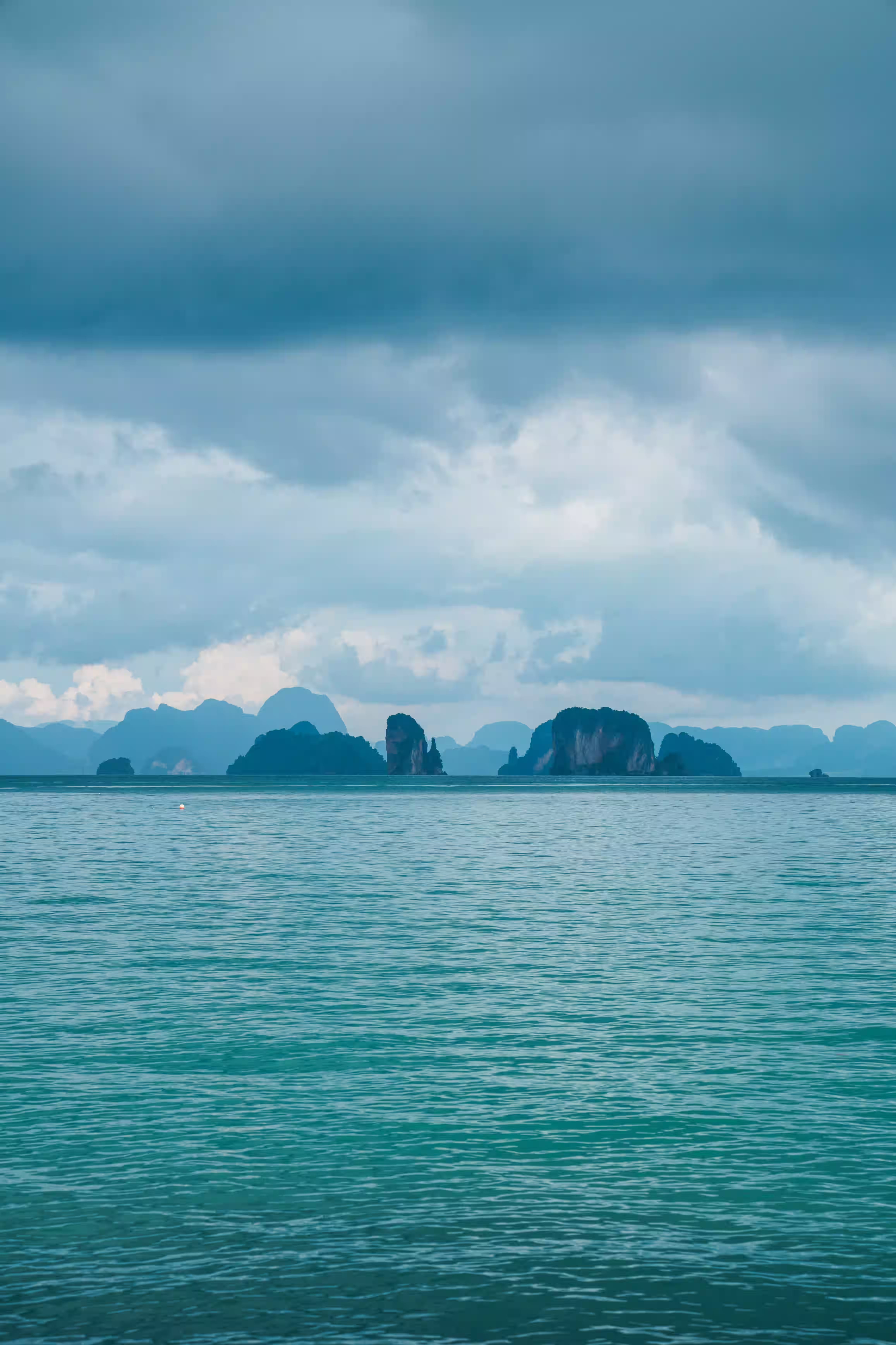 Bioluminescence in Andaman