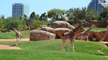 Bioparc 