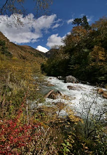 Jigme Dorji National Park