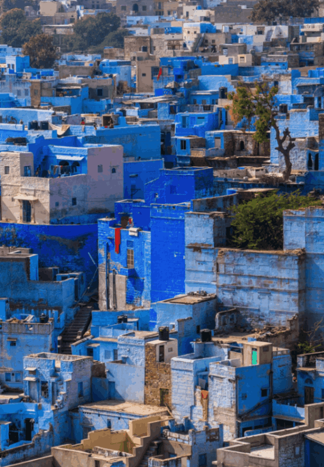 Jodhpur 