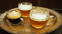 Visit the Pilsner Urquell Brewery 