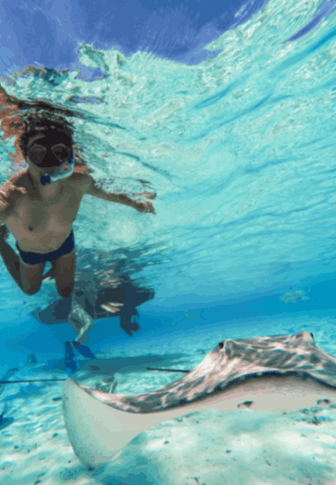 Snorkelling