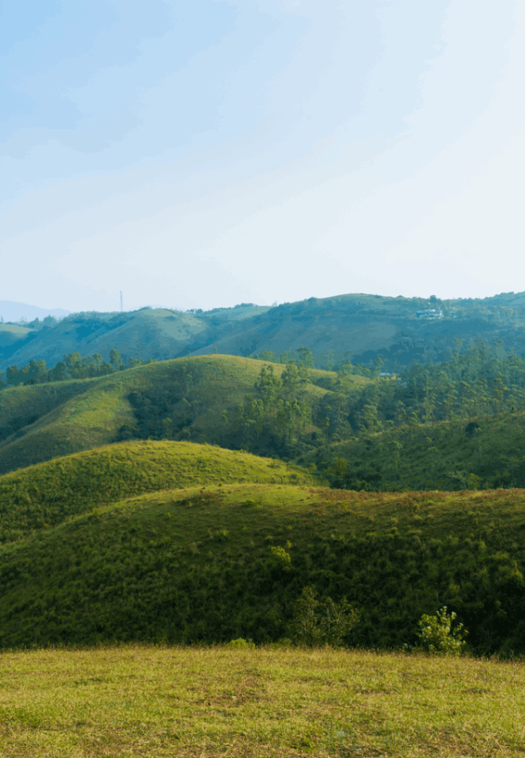Vagamon 