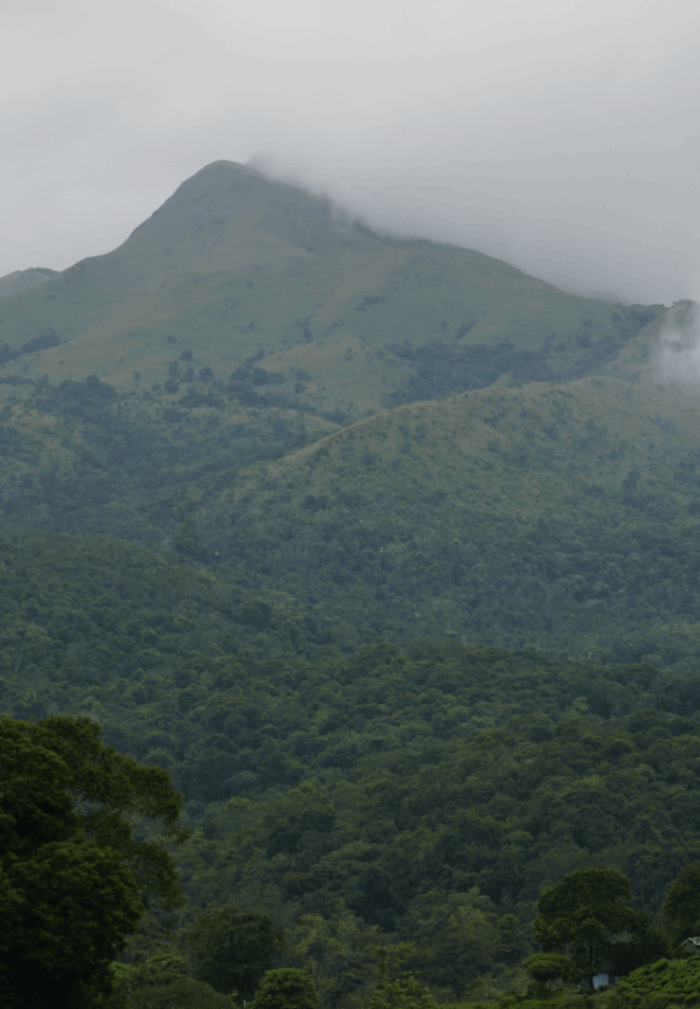 Vythiri 