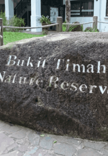 Bukit Timah Nature Reserve