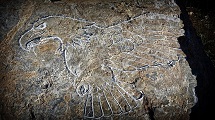Usgalimal Rock Carvings 