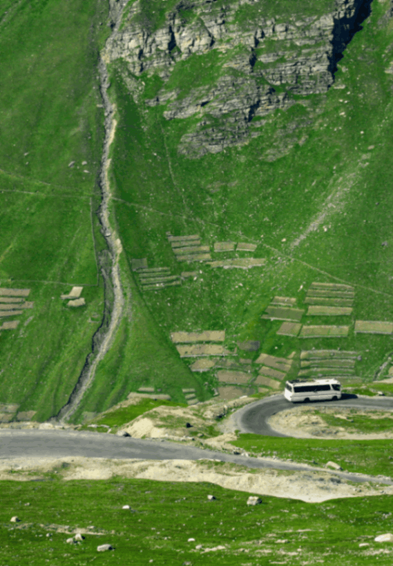Gulaba