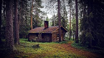 Stay at a forest lodge 