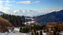 Snow View