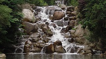 The Waterfall 