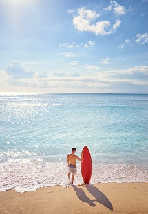 Surf Up	