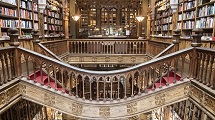 Experience Livraria Lello 