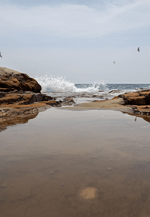 Water water everywhere 